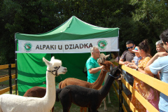 2023.06.23-festyn_parafialny-29