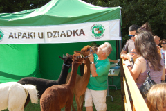 2023.06.23-festyn_parafialny-31