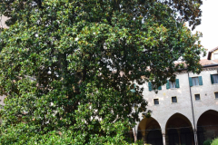 2024.07.10-wyjazd_do_wloch-090