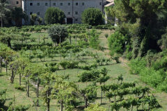 2024.07.13-wyjazd_do_wloch-10