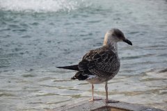 2024.07.14-wyjazd_do_wloch-31