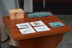 2025.06.29-festyn_parafialny-116