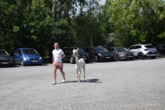 2026.06.28-festyn_parafialny-005